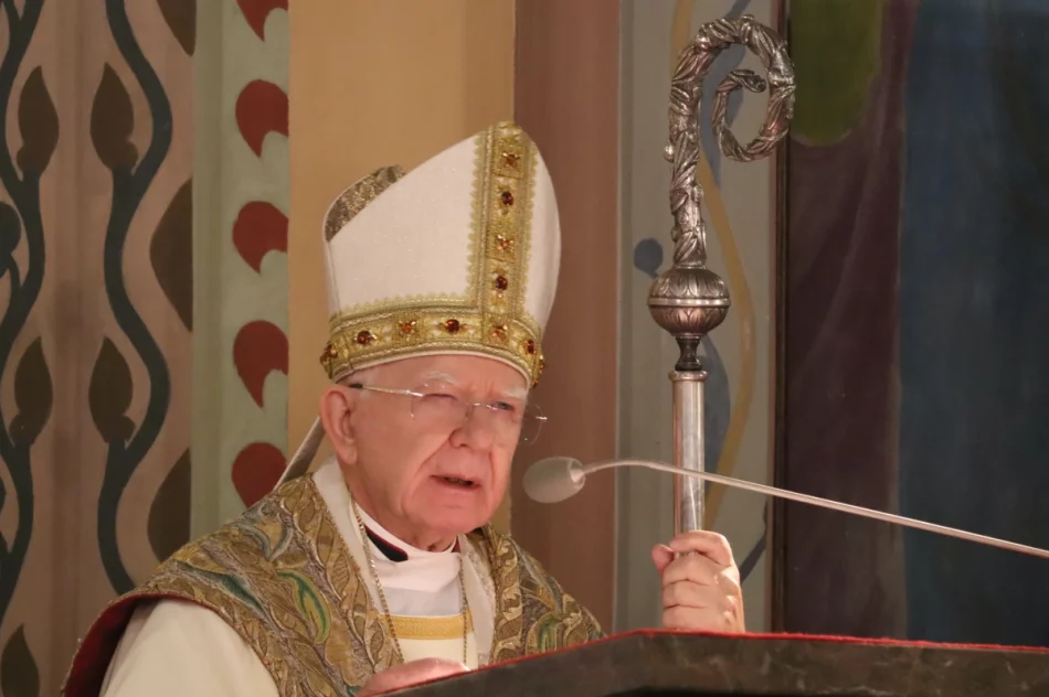Abp Jędraszewski: "to nie jest małżeństwo". Ostre słowa na Limanowszczyźnie (ZDJĘCIA, WIDEO) - zdjęcie 153