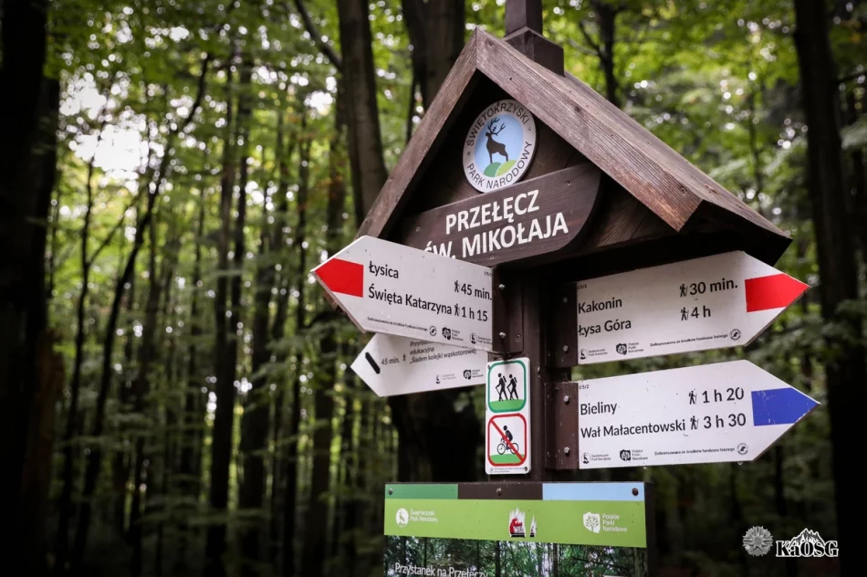 Zostawili biurka i poszli w góry (ZDJĘCIA) - zdjęcie 3