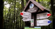 Zostawili biurka i poszli w góry (ZDJĘCIA) - zdjęcie 3
