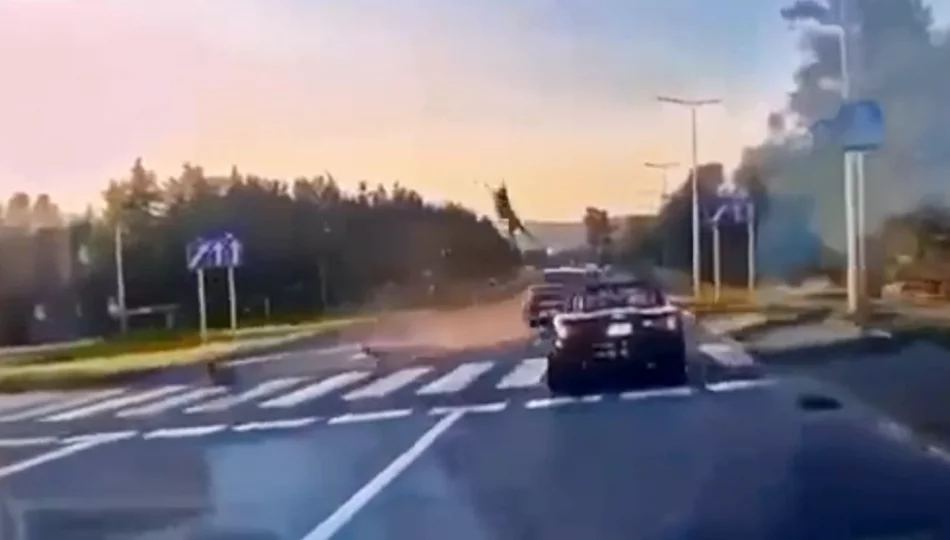 50-latek zginął na przejściu (WIDEO) - zdjęcie 1