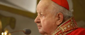 Kościół budowany dzień po dniu - zdjęcie główne