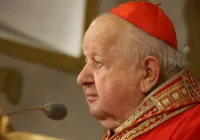 Kościół budowany dzień po dniu - zdjęcie główne