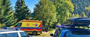 Zaatakowana przez osy wezwała pomoc. W lesie szukały jej służby - zdjęcie główne