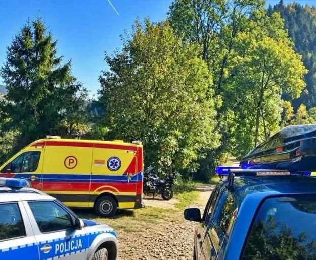 Zaatakowana przez osy wezwała pomoc. W lesie szukały jej służby - zdjęcie główne
