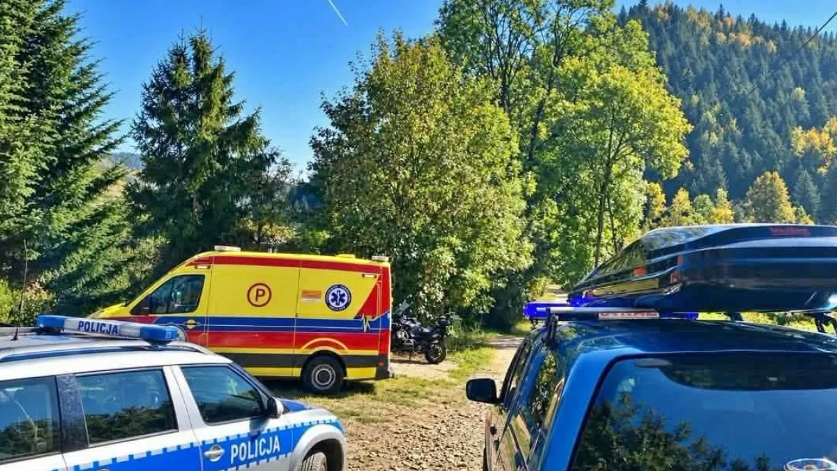 Poszukiwania kobiety w lesie prowadzone przez policjantów i strażaków