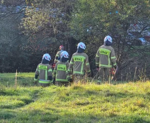 Szukali wypadku, alarm okazał się fałszywy - zdjęcie główne