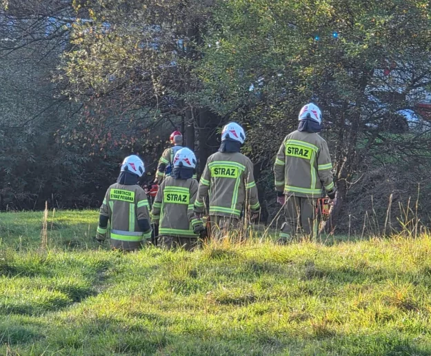 Szukali wypadku, alarm okazał się fałszywy - zdjęcie główne