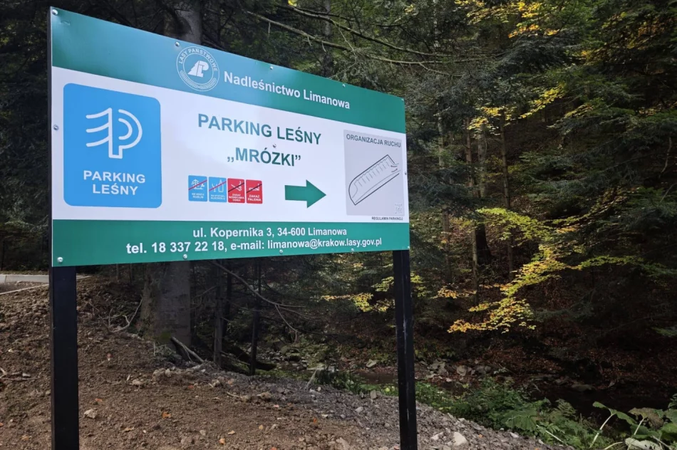 Ósmy parking leśny na Limanowszczyźnie - zdjęcie 4