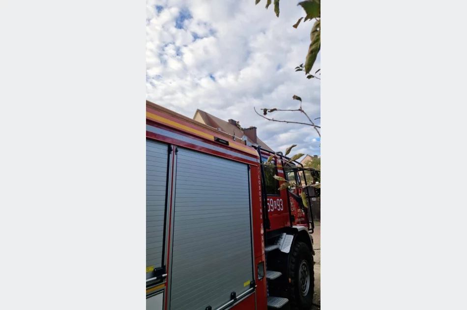 Pożary w kominach. Strażacy przypominają o obowiązku - zdjęcie 6