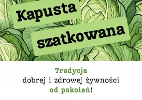 Kapusta sztakowana - Zdjęcie główne