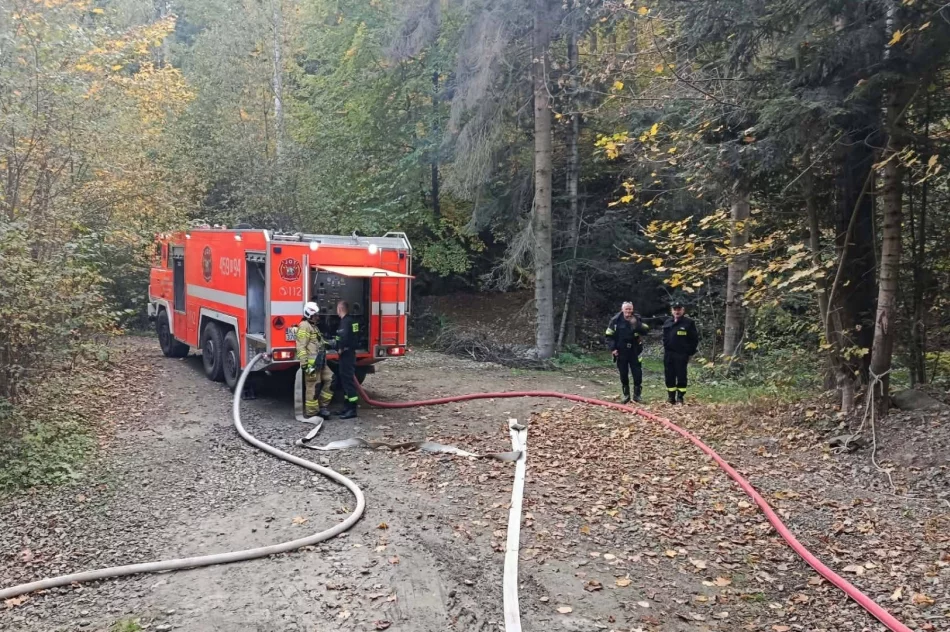 Dwa kilometry linii gaśniczej. Strażacy ćwiczyli w kamieniołomie - zdjęcie 13