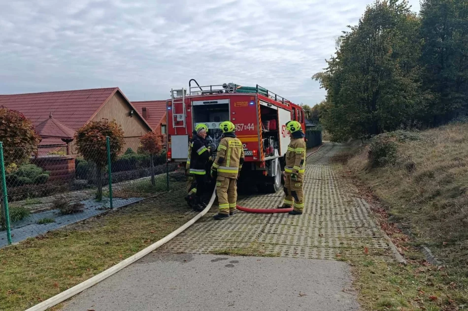 Dwa kilometry linii gaśniczej. Strażacy ćwiczyli w kamieniołomie - zdjęcie 16