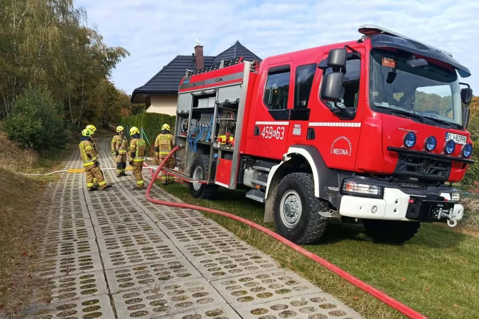 Dwa kilometry linii gaśniczej. Strażacy ćwiczyli w kamieniołomie - zdjęcie 17