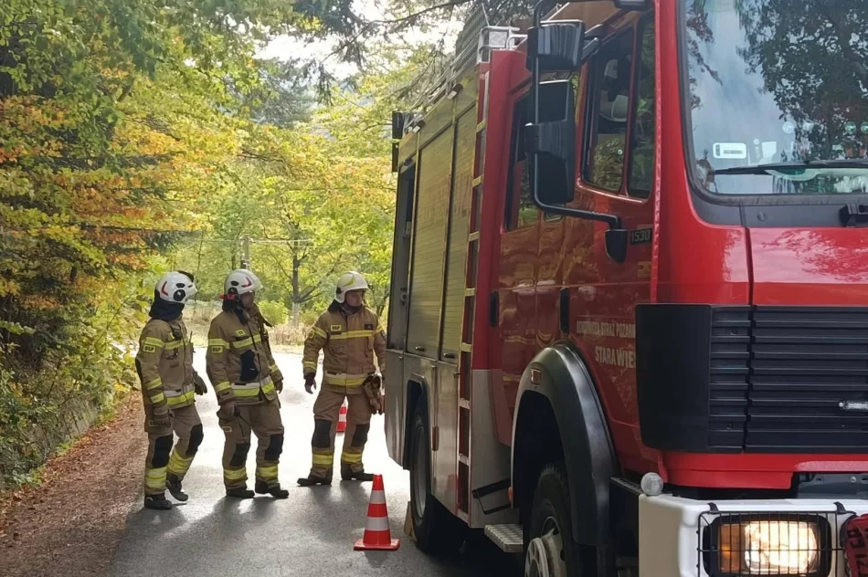 Dwa kilometry linii gaśniczej. Strażacy ćwiczyli w kamieniołomie - zdjęcie 18