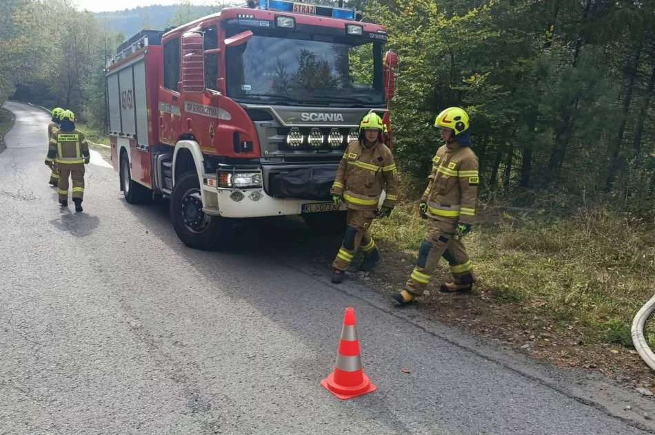 Dwa kilometry linii gaśniczej. Strażacy ćwiczyli w kamieniołomie - zdjęcie 20