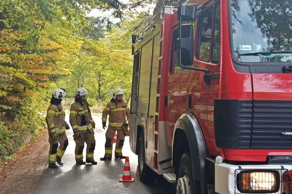 Dwa kilometry linii gaśniczej. Strażacy ćwiczyli w kamieniołomie - zdjęcie 36