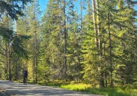 Ponad 14 km nowych tras rowerowych na Szlaku wokół Tatr - zdjęcie główne