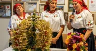 Koła z Limanowszczyzny zajęły dwa pierwsze miejsca w Małopolsce - zdjęcie 3