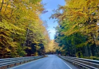 Chłodny przełom miesięcy i spadek temperatur do zera. Prognoza pogody dla Limanowej do pierwszych dni listopada - zdjęcie główne