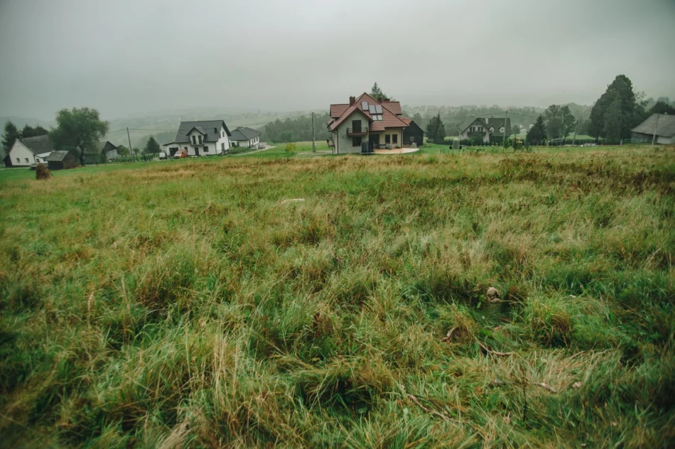 Atak wilków w pobliżu osiedla - zdjęcie 6
