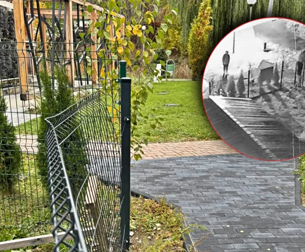 Wandal ma czas do piątku - zdjęcie główne