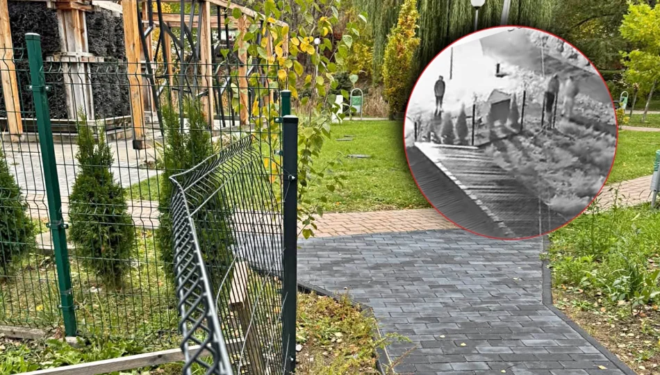 Wandal ma czas do piątku - zdjęcie 1