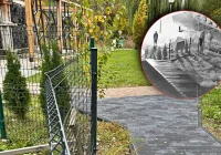 Wandal ma czas do piątku - zdjęcie główne