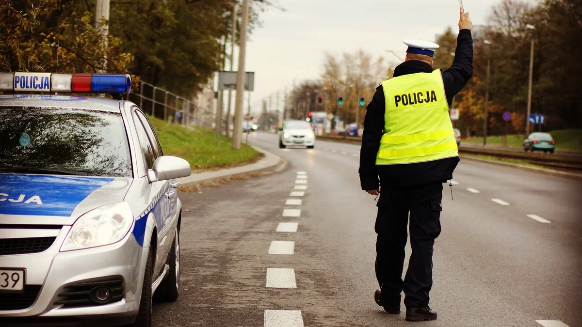 Wzmożone siły policji na drogach