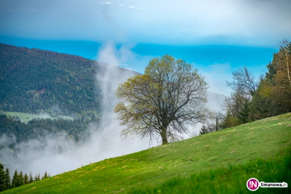 Beskid Wyspowy po burzy - zdjęcie 6