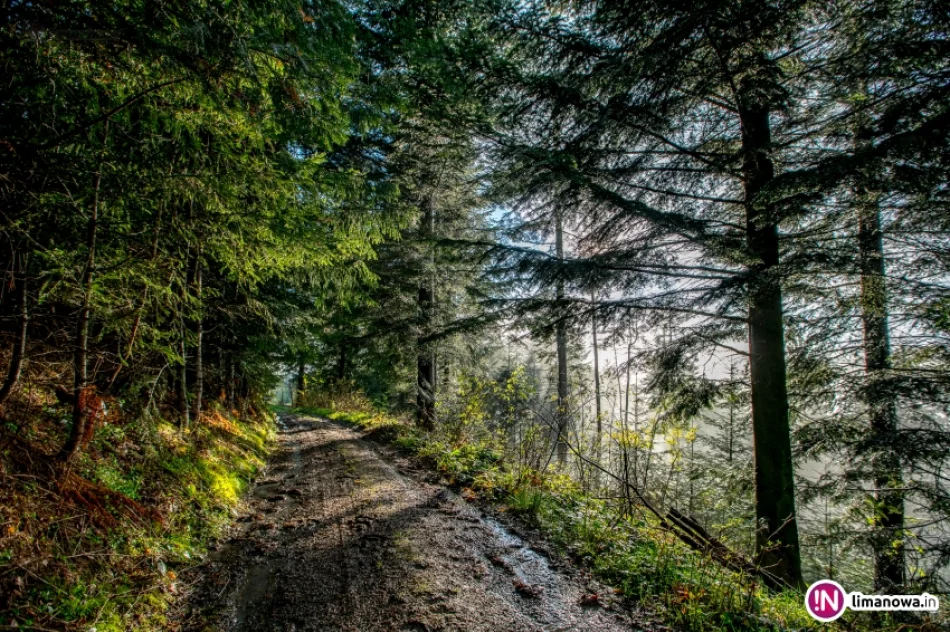 Beskid Wyspowy po burzy - zdjęcie 11
