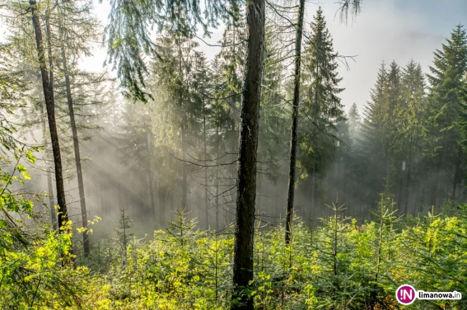 Beskid Wyspowy po burzy - zdjęcie 12