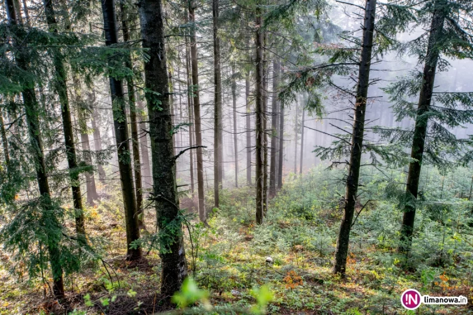 Beskid Wyspowy po burzy - zdjęcie 13