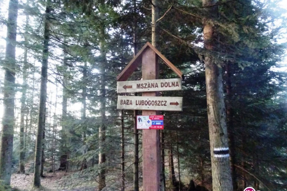 VI Tour Mszana Dolna - 2017 - zdjęcie 11