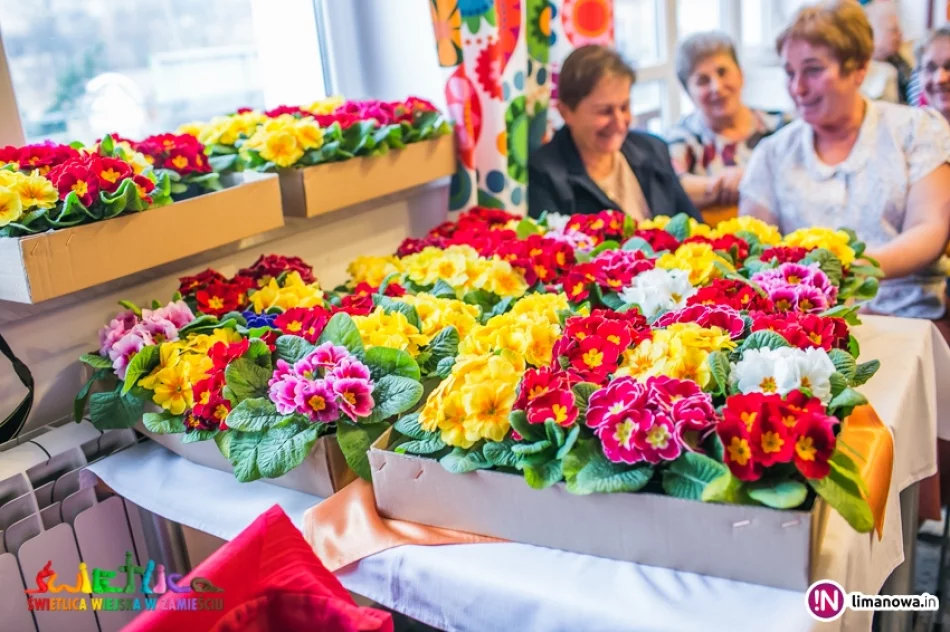 Dzień Kobiet w Śwetlicy Wiejskiej w Zamieściu - 2017 - zdjęcie 3