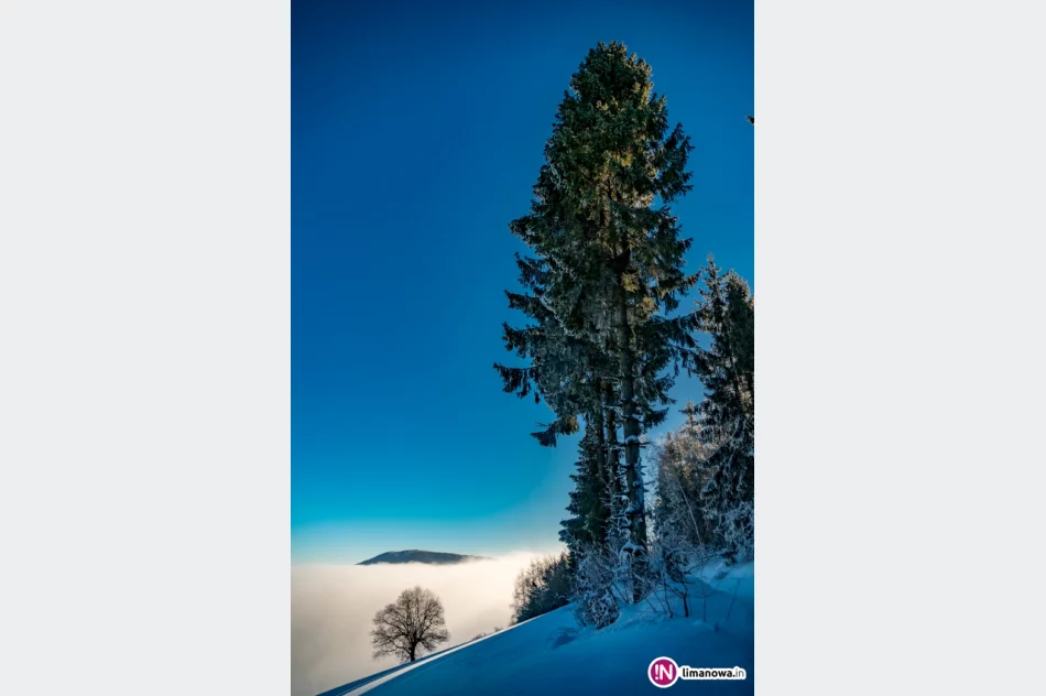 Gdy w dolinach mgły... - zdjęcie 3