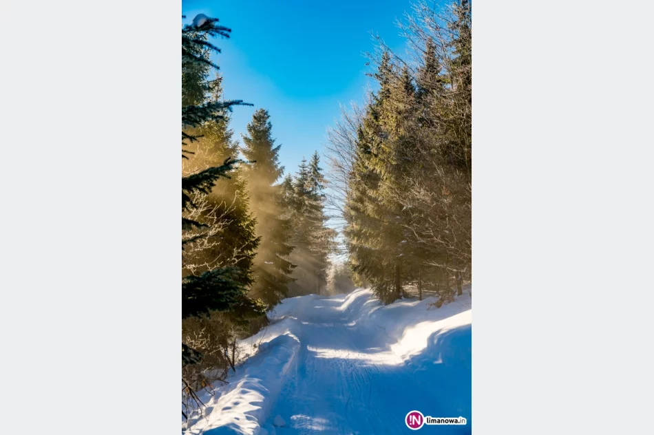 Gdy w dolinach mgły... - zdjęcie 5