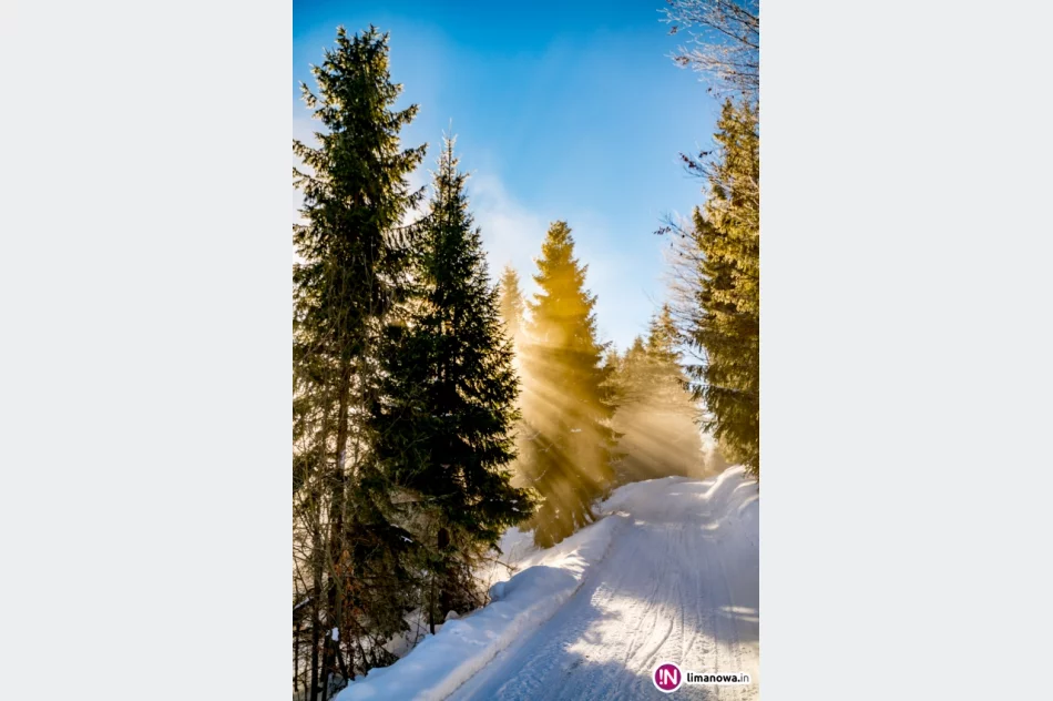 Gdy w dolinach mgły... - zdjęcie 6