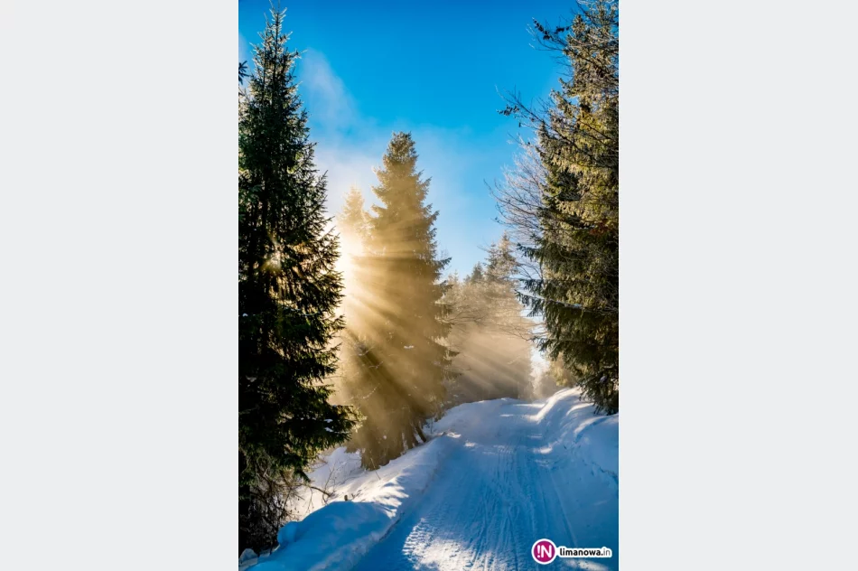 Gdy w dolinach mgły... - zdjęcie 7