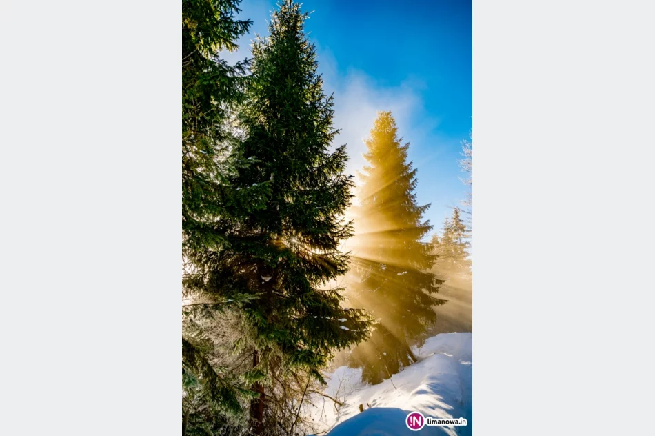 Gdy w dolinach mgły... - zdjęcie 8