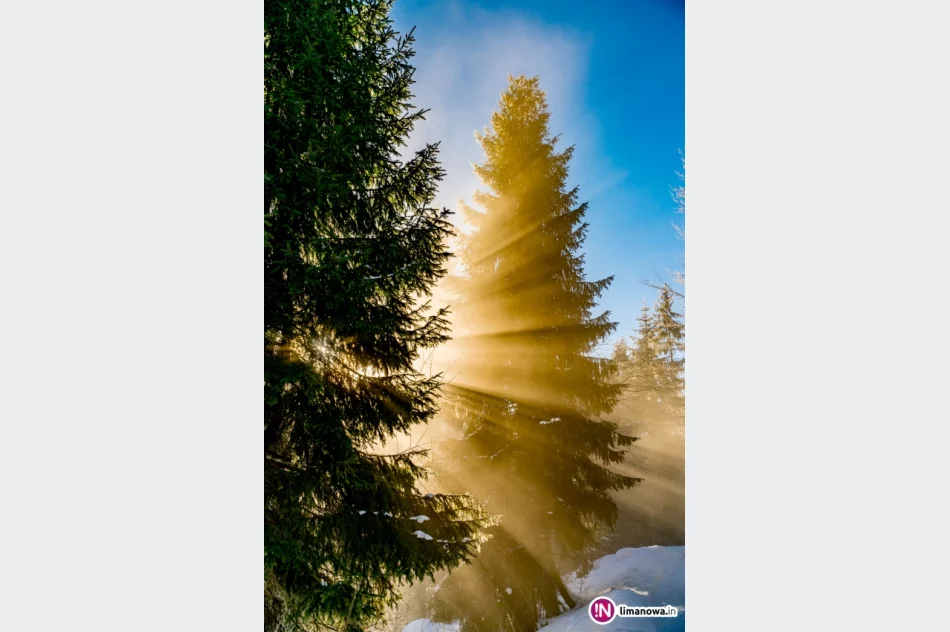 Gdy w dolinach mgły... - zdjęcie 9