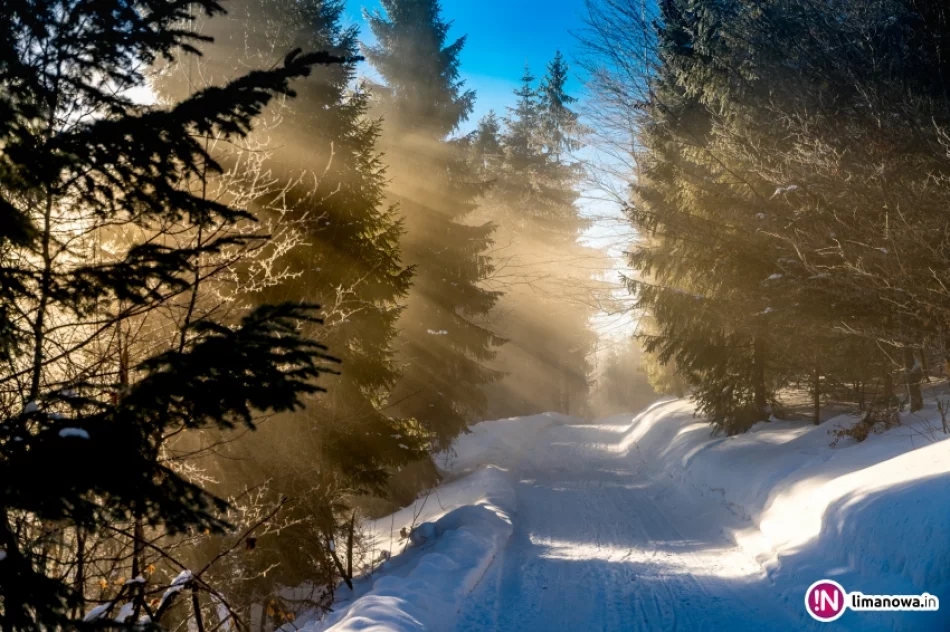 Gdy w dolinach mgły... - zdjęcie 10