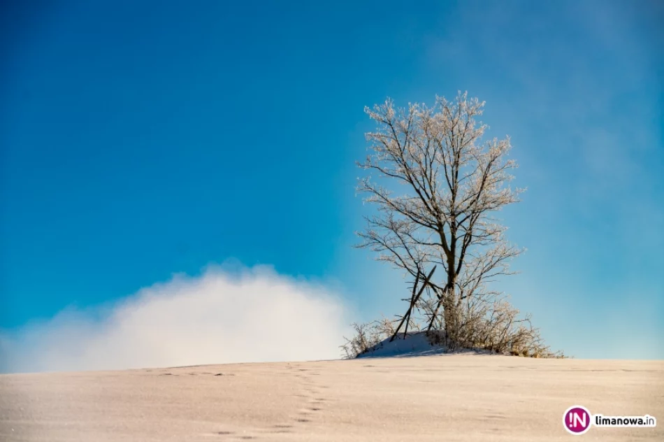Gdy w dolinach mgły... - zdjęcie 12