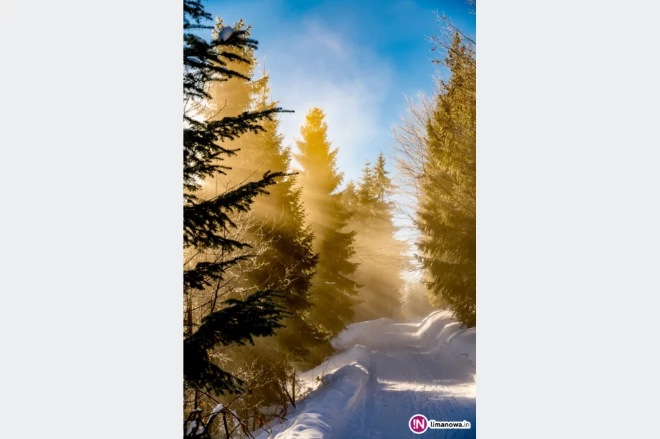 Gdy w dolinach mgły... - zdjęcie 13