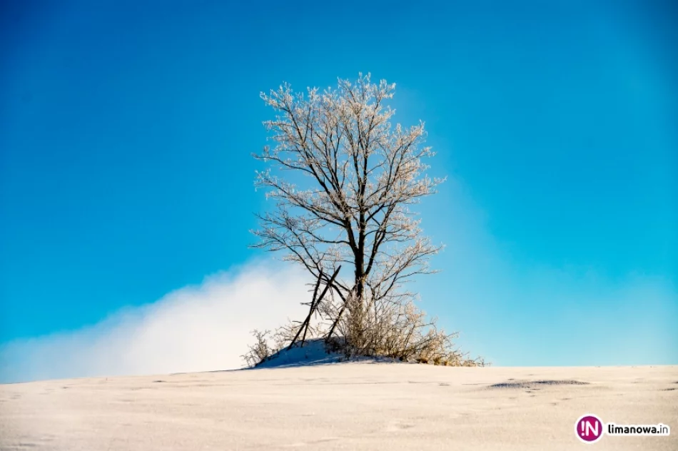 Gdy w dolinach mgły... - zdjęcie 14