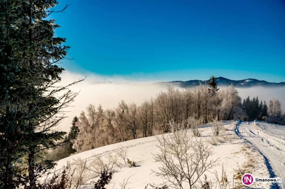 Gdy w dolinach mgły... - zdjęcie 16