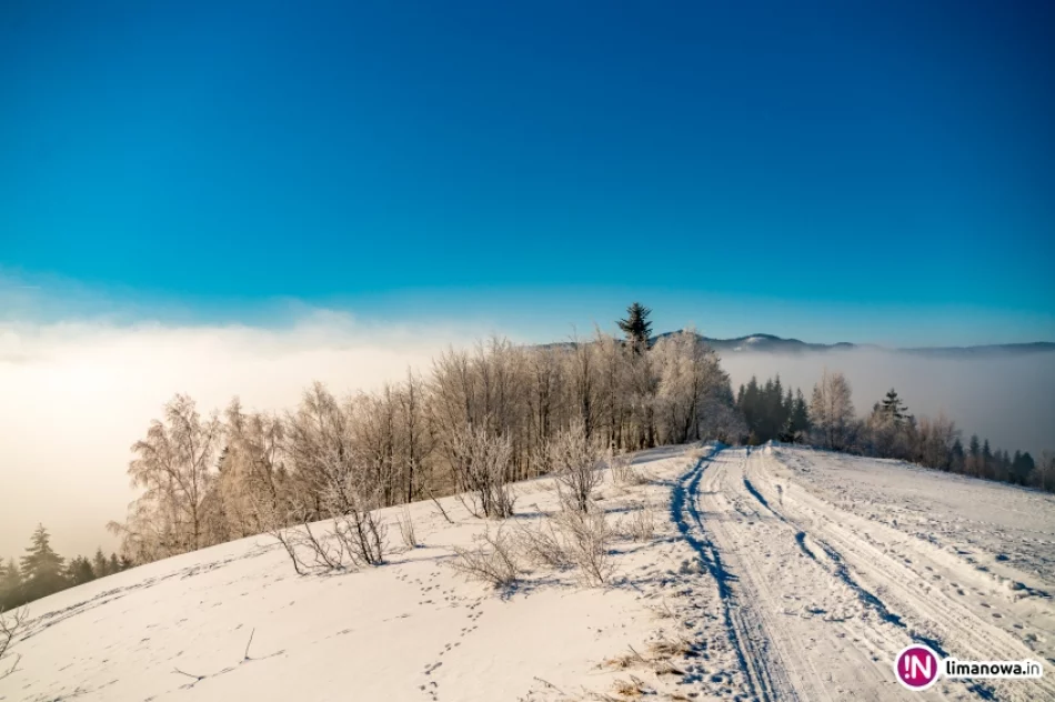 Gdy w dolinach mgły... - zdjęcie 17