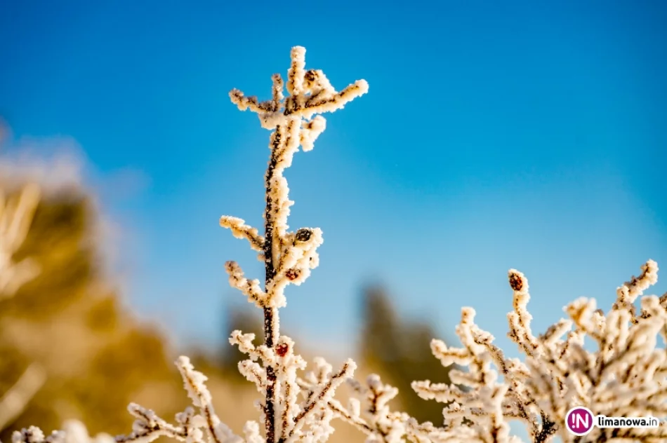 Gdy w dolinach mgły... - zdjęcie 20