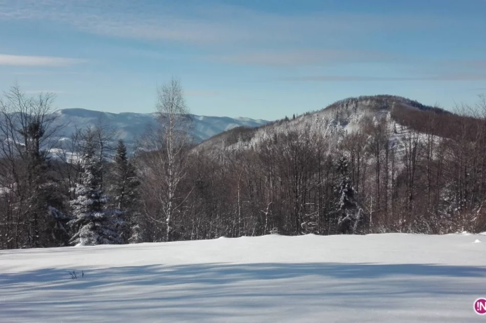 Koło Grodzkie PTTK: 7 lat na czerwonym szlaku - zdjęcie 2