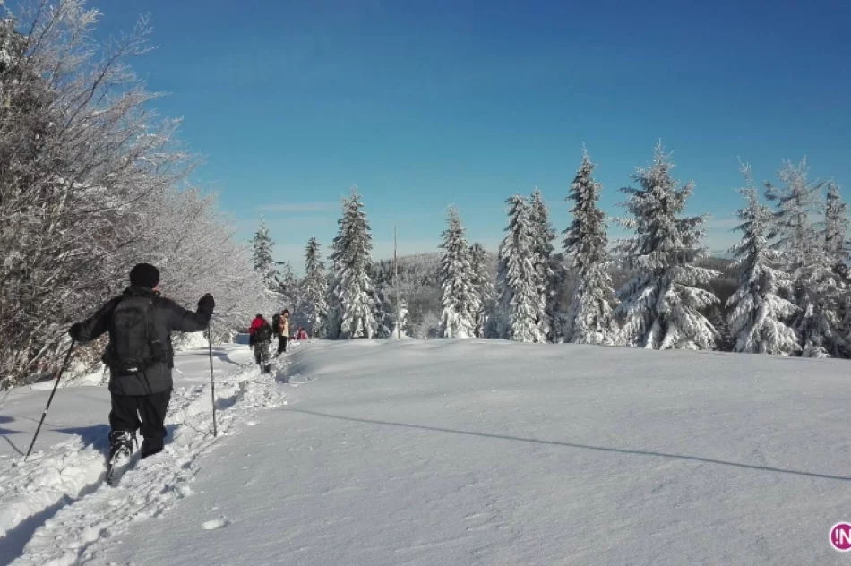 Koło Grodzkie PTTK: 7 lat na czerwonym szlaku - zdjęcie 6