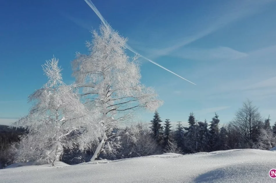 Koło Grodzkie PTTK: 7 lat na czerwonym szlaku - zdjęcie 7